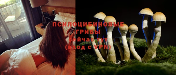 экстази Кукмор