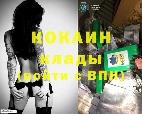 стаф Краснослободск