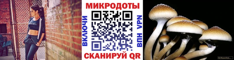 Галлюциногенные грибы Magic Shrooms  Купить закладки  Бирск 